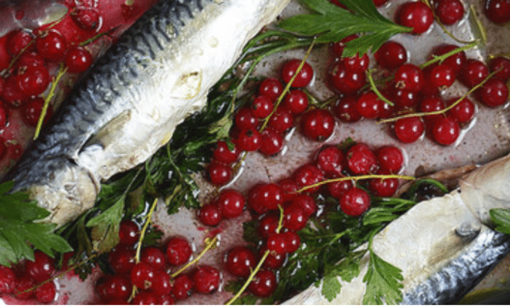 Sardines de Concarneau à la groseille fraîche