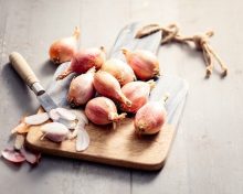 L’échalote, le petit bulbe qui change tout
