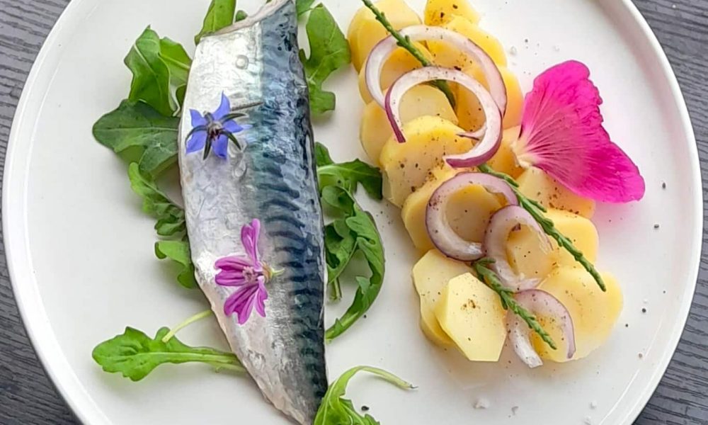 Filets de maquereau snackés, petites pommes de terre de l’Île de Ré et salicornes fraîches