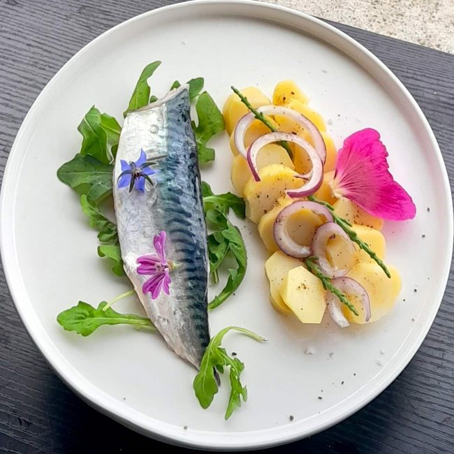 Filets de maquereau snackés, petites pommes de terre de l’Île de Ré et salicornes fraîches