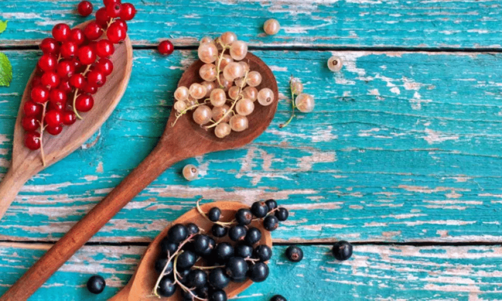 Petite histoire de la groseille