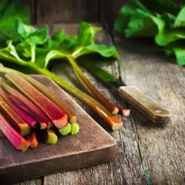 Petite histoire de la rhubarbe