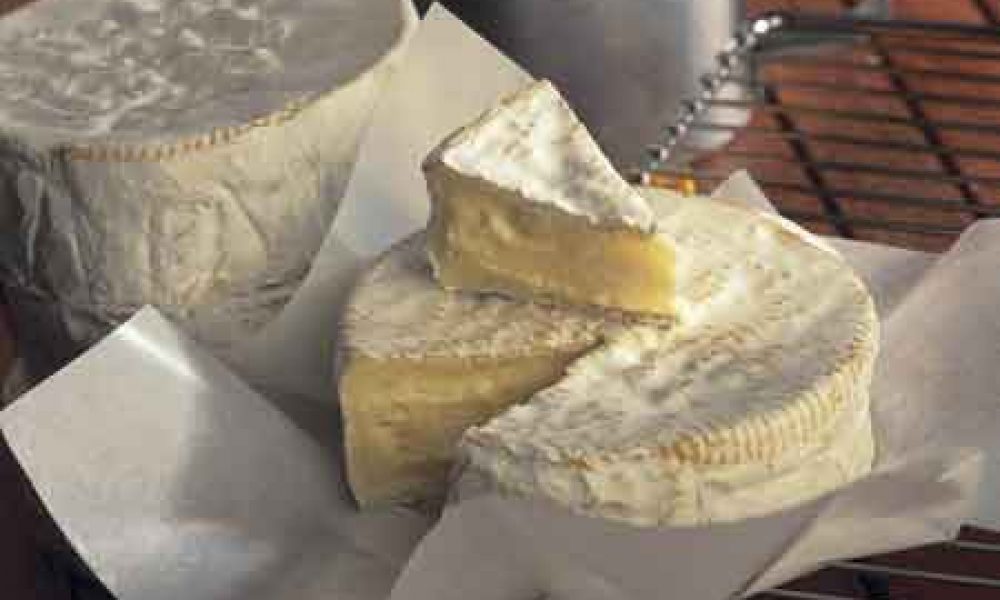 IRQUA-NormandieRougereauBD