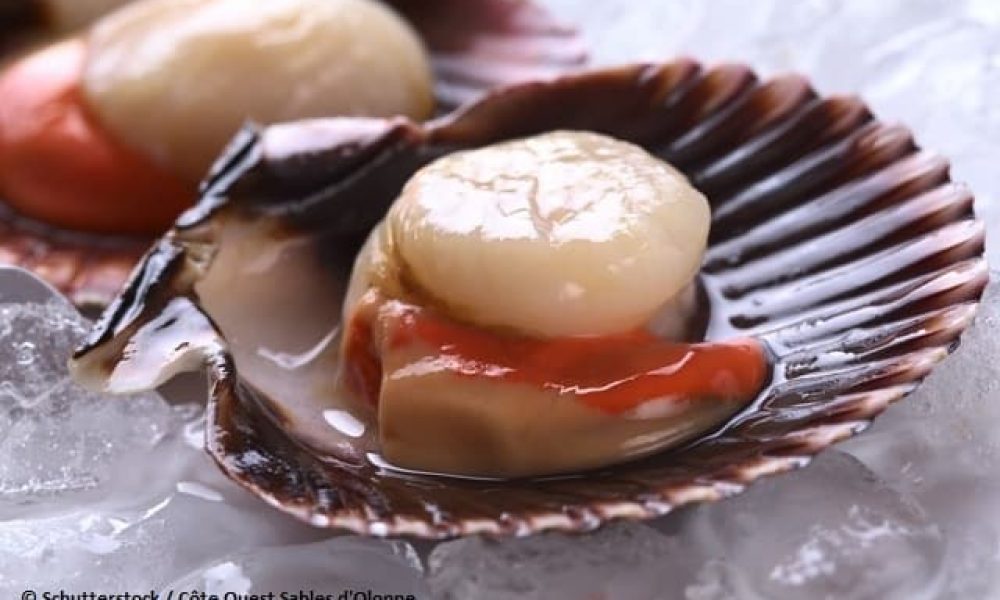 CO shutterstock 2 85520731