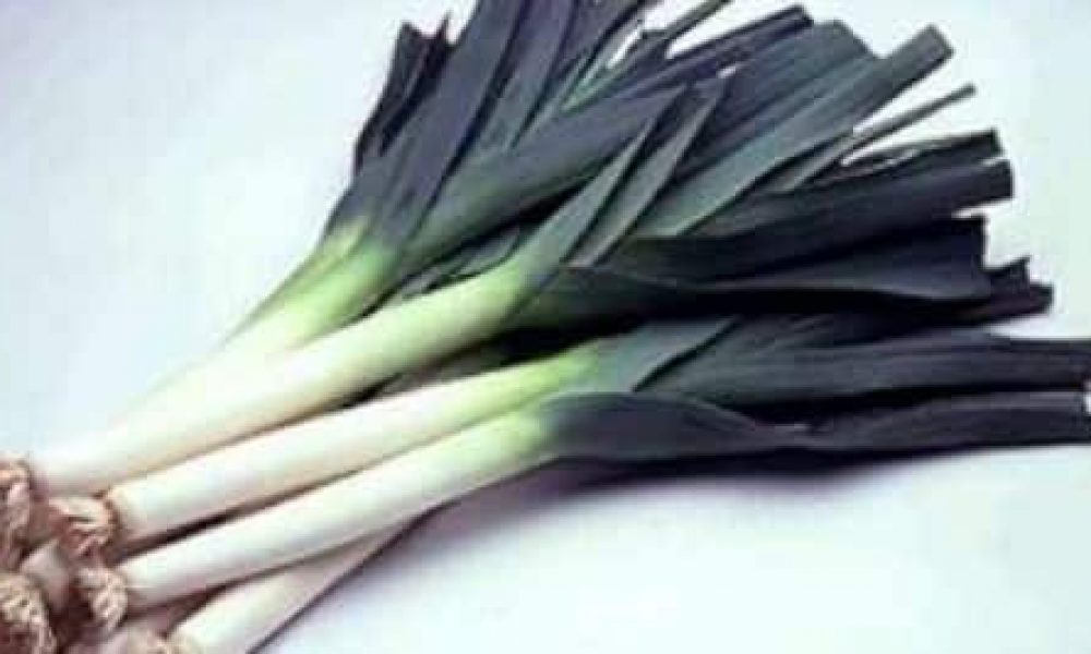 1104390 3 8692 poireaux en botte 8c42f4e25af94aaab08611d5117ce10f