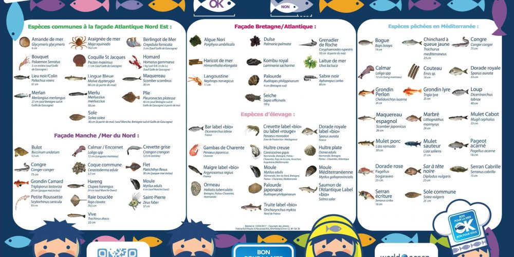 Le Printemps de Mister GoodFish