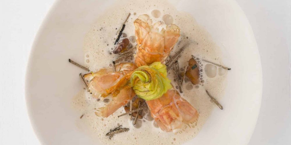 Invitez la langoustine à vos repas de fêtes !