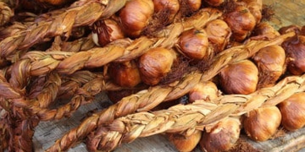 L’ail fumé d’Arleux