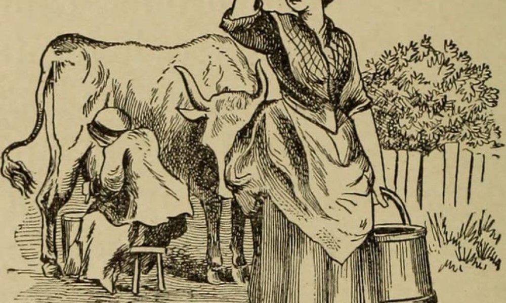 Historique Le ebeurre