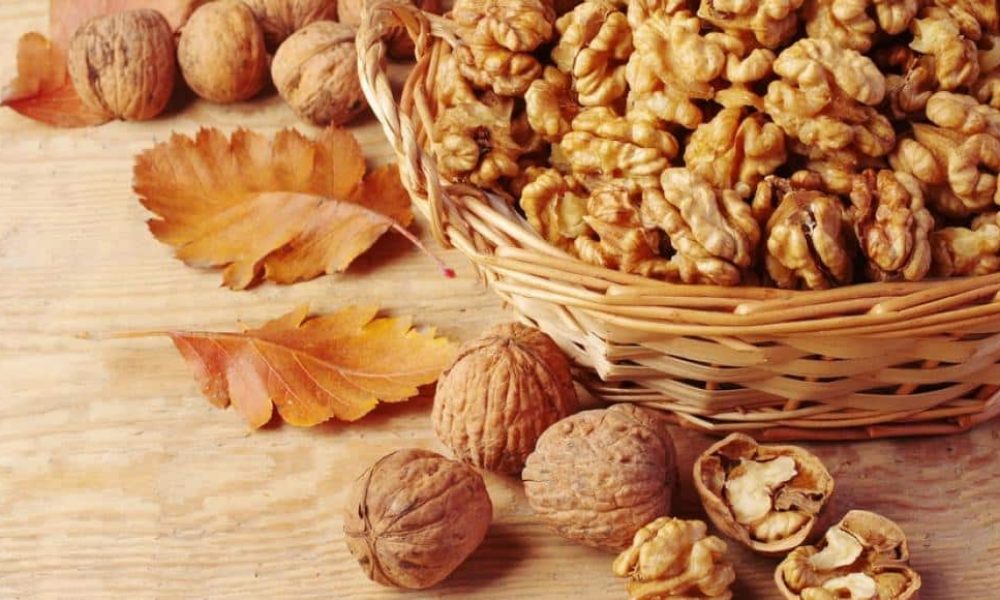 Tout savoir sur la noix