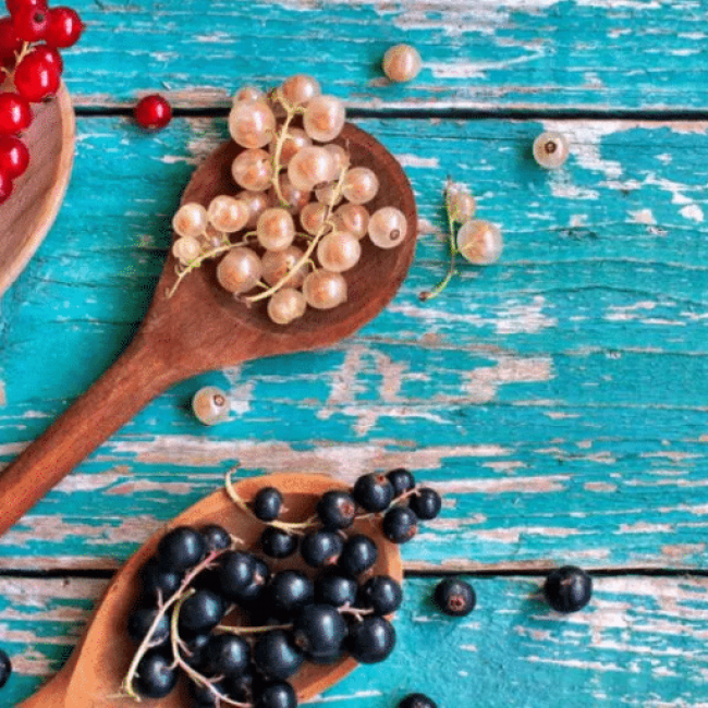 Petite histoire de la groseille