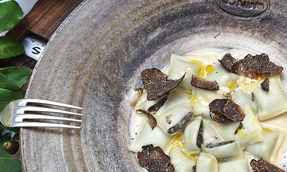 Les truffes Tuber Melanosporum sont de sortie !