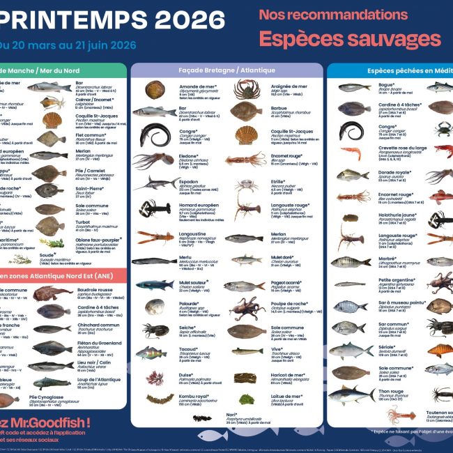 Découvrez le nouveau poster Printemps Mr.Goodfish !