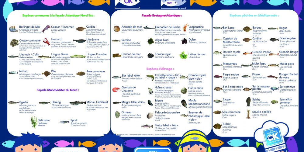 Mister Goodfish fête l&rsquo;Été