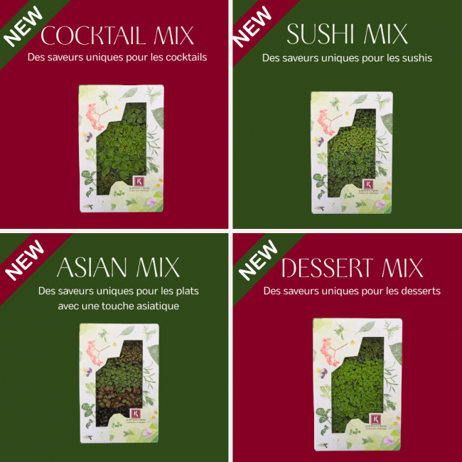 🌱 4 nouveaux mixes de cress chez KoppertCress