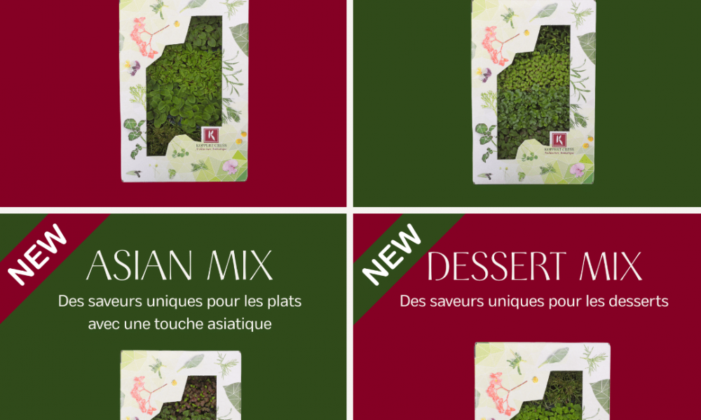 🌱 4 nouveaux mixes de cress chez KoppertCress