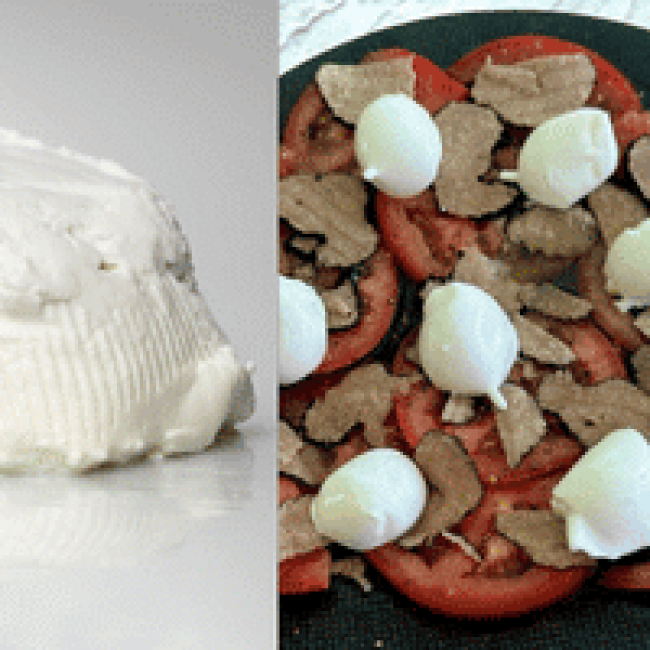 Mozzarellas, stracciatellas et ricottas françaises