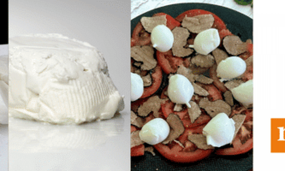 Mozzarellas, stracciatellas et ricottas françaises