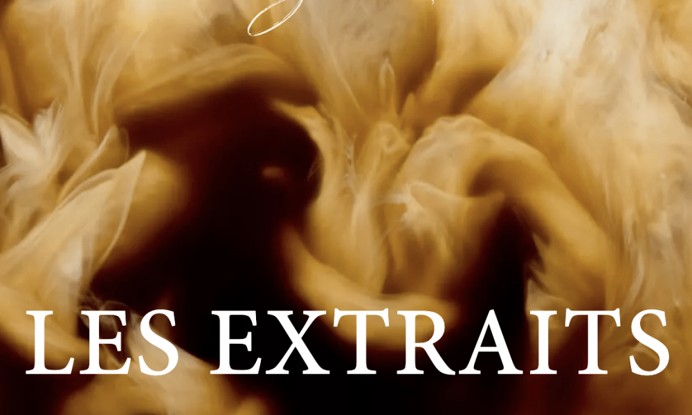 Extraits de Vanille avec Graines