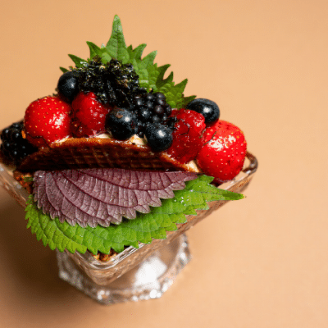 Shiso Leaves Bicolor : une feuille, deux couleurs, un maximum de caractère