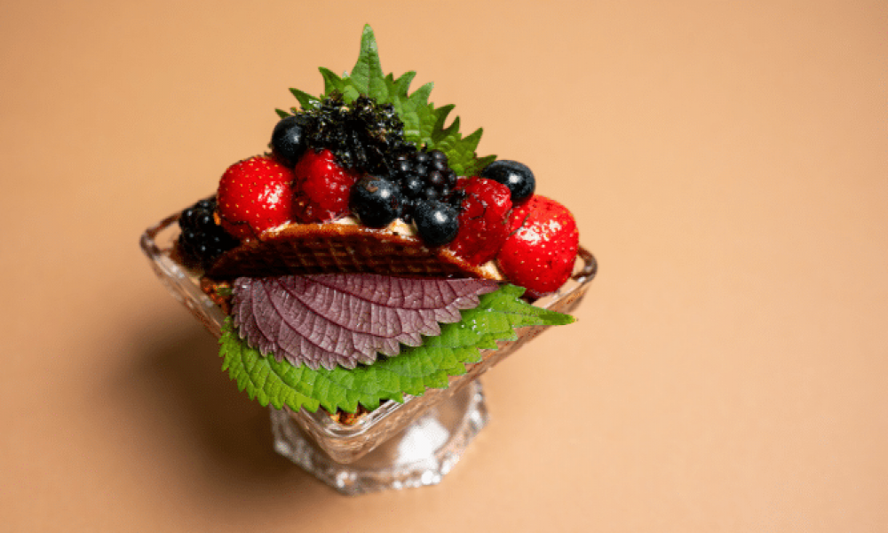 Shiso Leaves Bicolor : une feuille, deux couleurs, un maximum de caractère