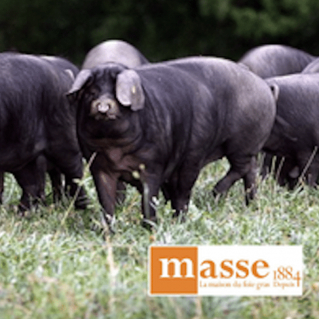 Un partenariat Masse & Porc Noir de Bigorre : une sélection de pièces spécifiques